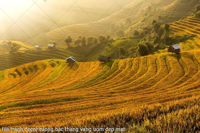 file tranh decor ruong bac thang vang uom dep mat
